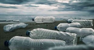 effect of plastics pollution