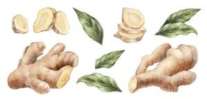Benefits of Ginger