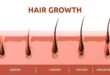 Hair Growth Natural Home Remedies