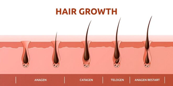 Hair Growth Natural Home Remedies