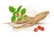 Health Benefits of Ashwagandha