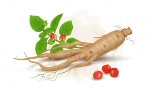 Health Benefits of Ashwagandha