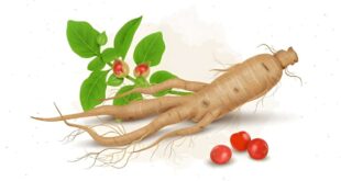 Health Benefits of Ashwagandha