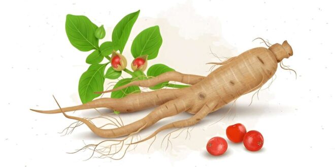 Health Benefits of Ashwagandha