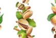 Health Benefits of Pistachio Nuts