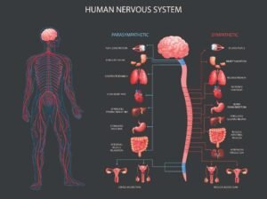 Neuropathy