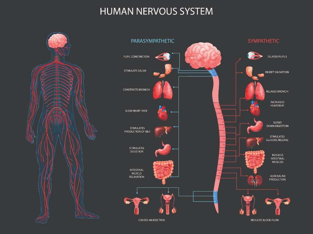 Neuropathy