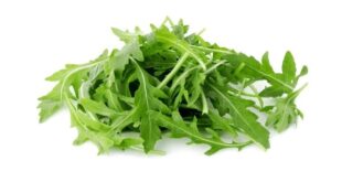 Arugula