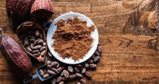 Cocoa Powder