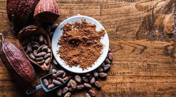 Cocoa Powder