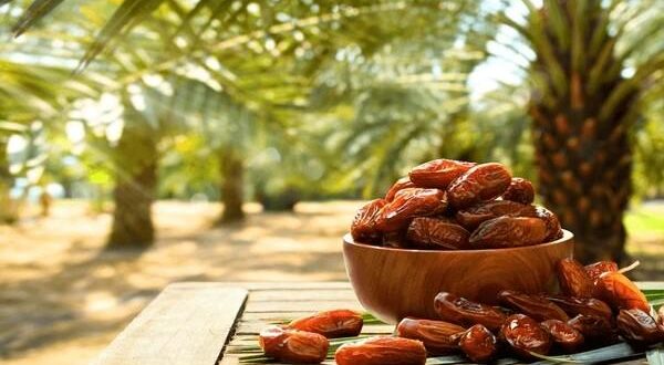 Dates fruit