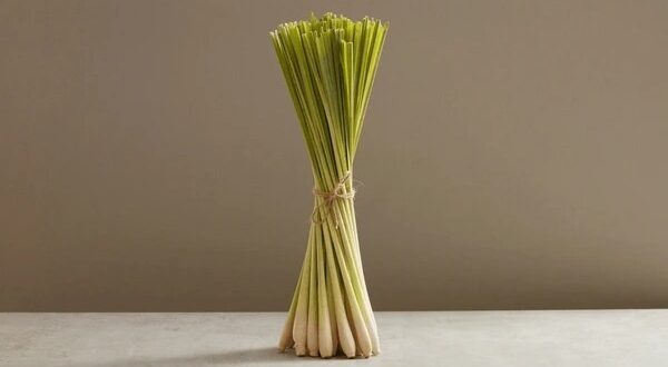 Lemongrass