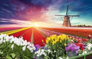 Netherlands