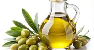 OLIVE OIL