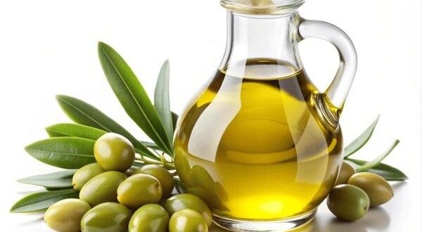 OLIVE OIL