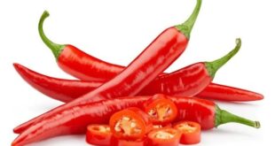 Red Chili