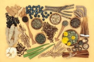adaptogens