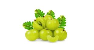 amla