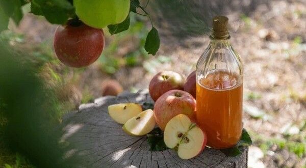 apple cider vinegar (2)