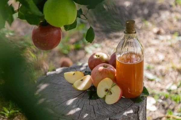 apple cider vinegar (2)