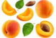 apricots