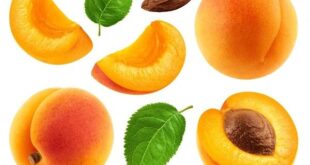 apricots