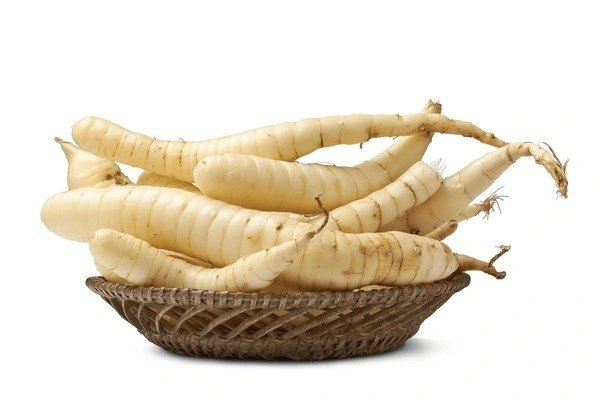 arrowroot