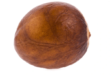 avocado seed