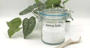 baking soda