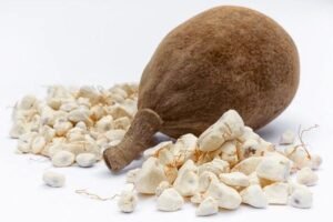 baobab powder