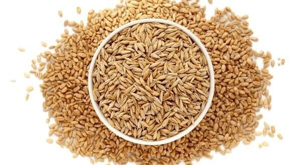 barley