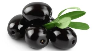 black olive