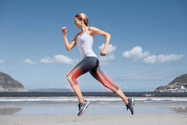 body composition