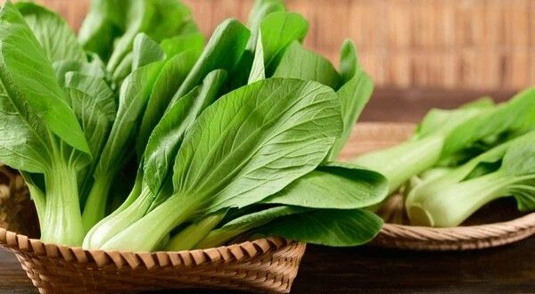 bok choy