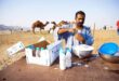 camel milk