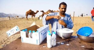 camel milk