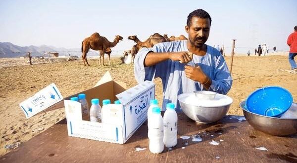 camel milk