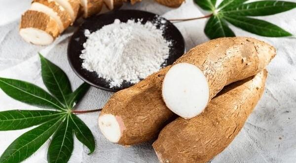 cassava