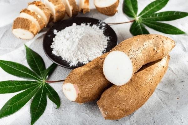 cassava