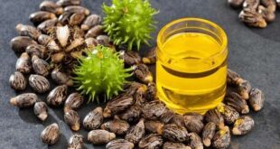 castor oil