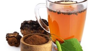 chaga tea