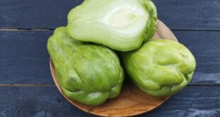 chayote