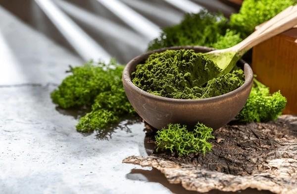 chlorella