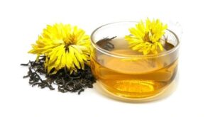 chrysanthemum tea