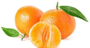 clementines