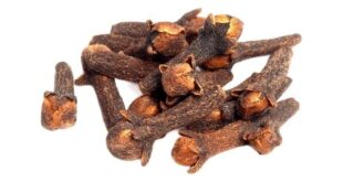 cloves