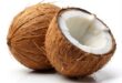 coconut