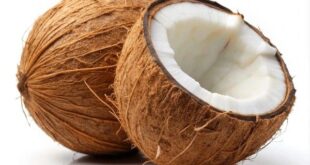 coconut