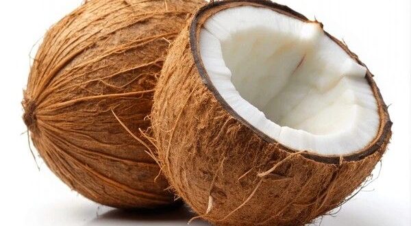 coconut