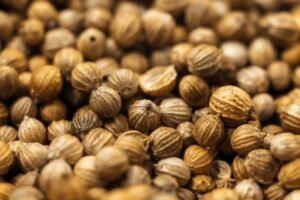 coriander seed